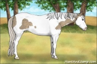 Horse Color:Silver Smoky Grullo Splash Tobiano 