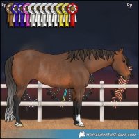 Horse Color:Bay Rabicano