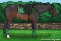 Horse Color:Brown Rabicano 