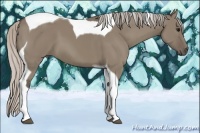 Horse Color:Silver Grullo Tobiano