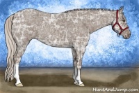 Horse Color:Silver Blue Ice Roan