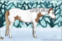 Horse Color:Chestnut Splash Tobiano Frame Rabicano 