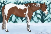 Horse Color:Chestnut Sabino Splash Tobiano 