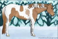 Horse Color:Chestnut Tobiano 