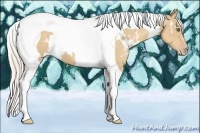 Horse Color:White Spotted Silver Classic Cream Champagne Tobiano 
