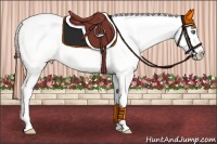 Horse Color:Bay Dun Splash Snowcap 
