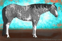 Horse Color:White Spotted Smoky Black Ice Sabino 