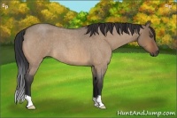 Horse Color:Bay Roan Dun 