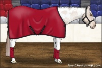 Horse Color:White Spotted Amber Champagne Tobiano Blanket Rabicano