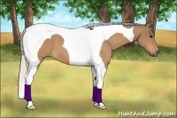 Horse Color:Silver Buckskin Tobiano 