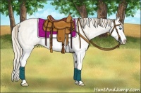 Horse Color:White Spotted Perlino Roan Dun Splash