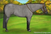 Horse Color:Grullo Roan 