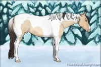 Horse Color:Amber Champagne Roan Dun Tobiano