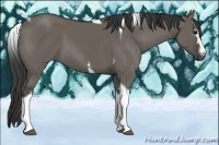 Horse Color:White Spotted Smoky Grullo Tobiano