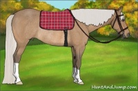 Horse Color:Silver Buckskin Rabicano