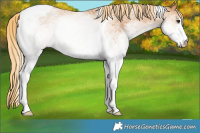 Horse Color:White Spotted Chestnut Tobiano Rabicano