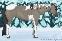 Horse Color:Smoky Grullo Tobiano