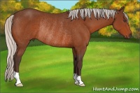 Horse Color:Silver Bay Rabicano