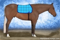 Horse Color:Silver Brown 