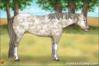 Horse Color:Liver Red Dun Ice Sabino Tobiano 