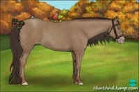 Horse Color:Classic Champagne Frame 