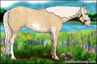 Horse Color:White Spotted Silver Classic Cream Champagne 
