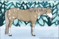 Horse Color:Silver Grullo Sabino 