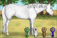 Horse Color:Gray Perlino Roan Tobiano 