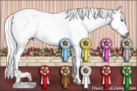 Horse Color:Gray Buckskin Dun Splash