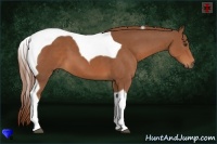 Horse Color:Chestnut Tobiano