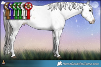 Horse Color:Liver Red Dun Sabino Splash 