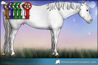 Horse Color:Liver Red Dun Sabino Splash 