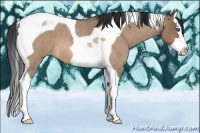 Horse Color:Bay Roan Dun Splash Tobiano