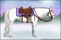 Horse Color:Silver Bay Roan Appaloosa 