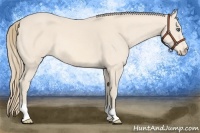 Horse Color:Perlino 