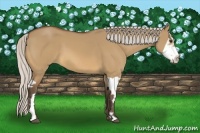 Horse Color:Silver Bay Dun Splash Frame 