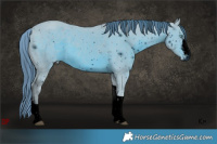 Horse Color:ERROR: UNKNOWN ANOMALY