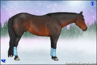 Horse Color:Brown Frame 