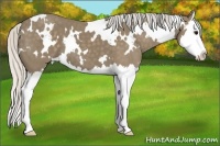 Horse Color:White Spotted Silver Smoky Black Splash