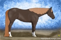 Horse Color:Unknown 