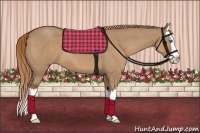 Horse Color:Red Dun Roan Splash 