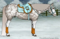 Horse Color:Silver Grullo Ice Splash Rabicano 