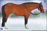 Horse Color:Brown 
