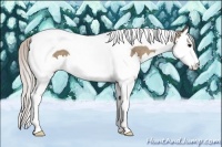 Horse Color:Silver Grullo Sabino Splash Tobiano