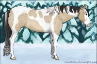 Horse Color:Bay Roan Dun Splash Tobiano