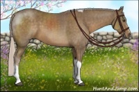 Horse Color:Chocolate Palomino Sabino Tobiano  Brindle