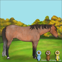 Horse Color:Bay Roan 