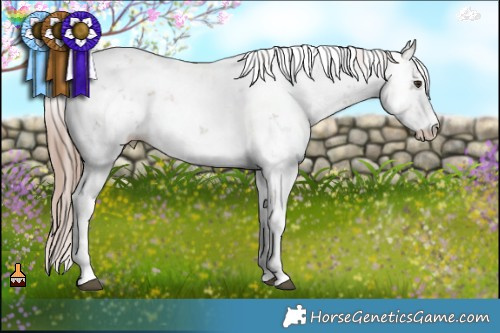 Horse Color:Liver Red Dun Sabino 