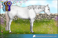 Horse Color:Liver Red Dun Sabino 