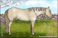 Horse Color:White Spotted Liver Red Dun Pearl Sabino 